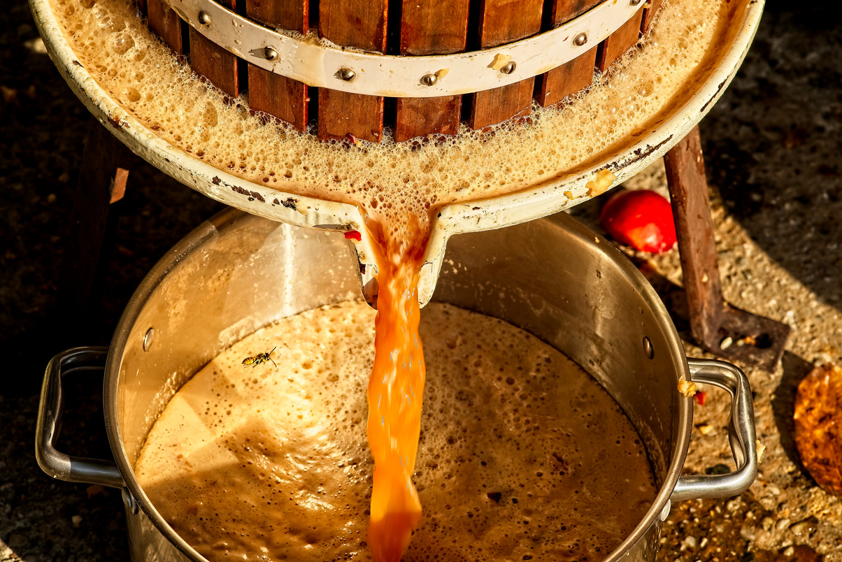 Pressing of fresh apple juice